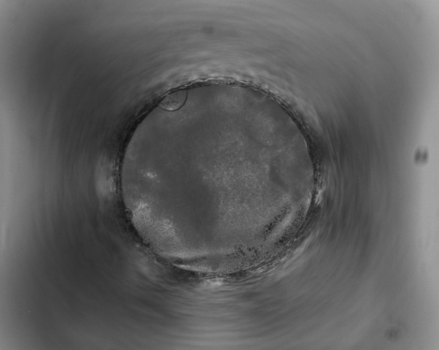 X0000102491490200808221718