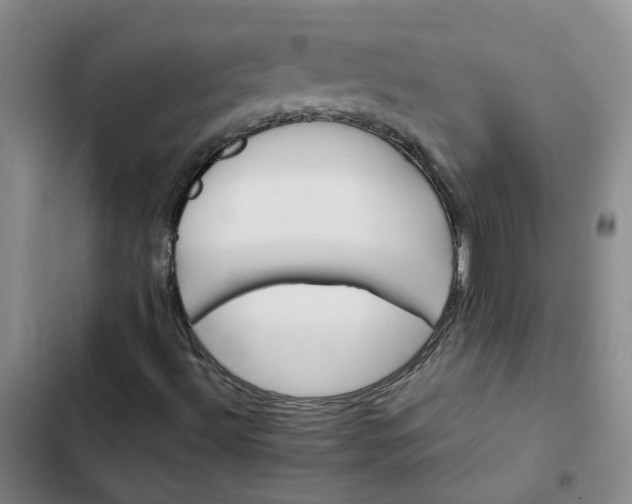 X0000102491492200808221718