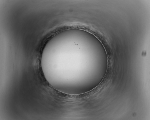 X0000102491493200808221718