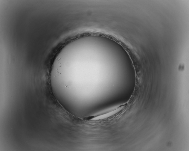 X0000102491495200808221718