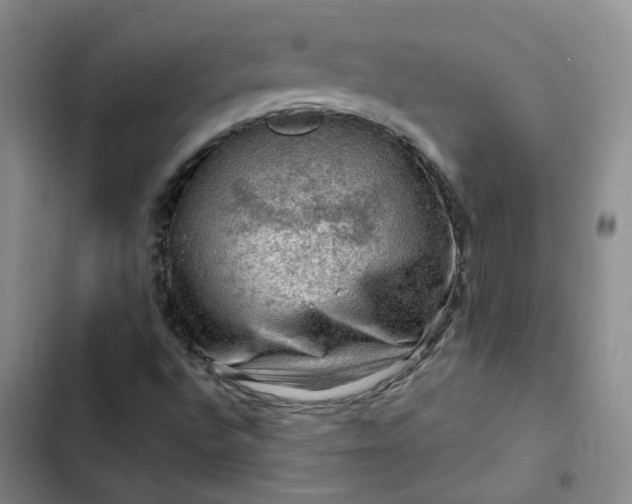 X0000102491496200808221718