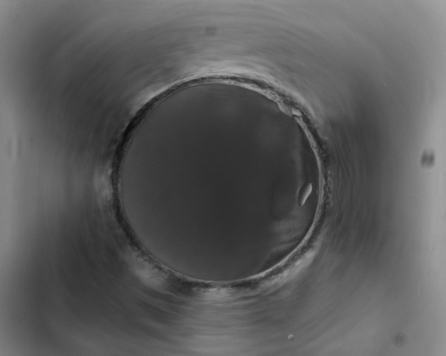 X0000102491497200808221718