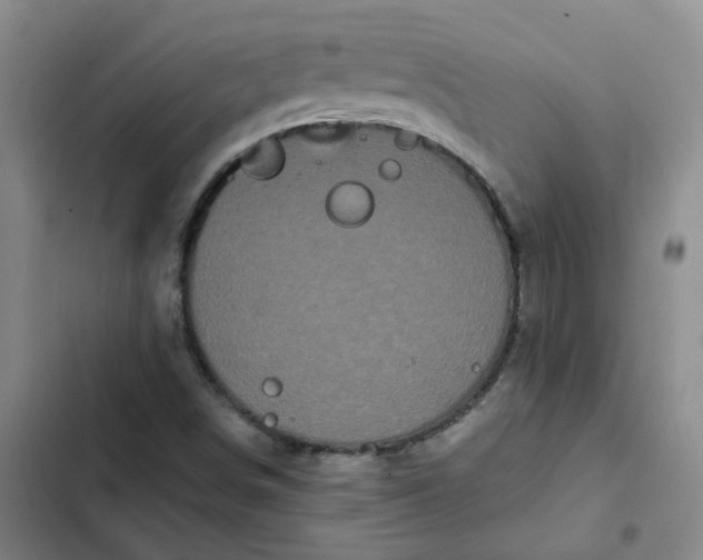 X0000102491498200808221718