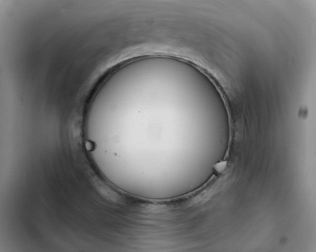 X0000102491499200808221718