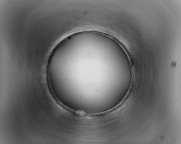 X0000102491500200808221718