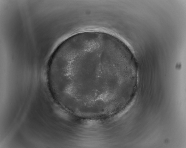 X0000102491501200808221718