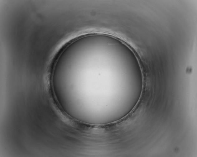 X0000102491503200808221718