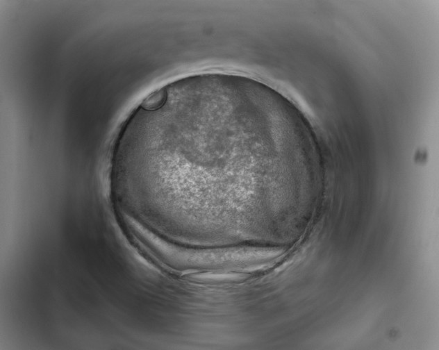 X0000102491504200808221718