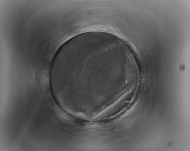 X0000102491505200808221718