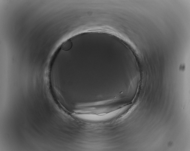 X0000102491506200808221718