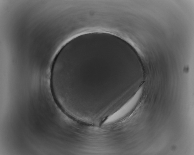 X0000102491508200808221718