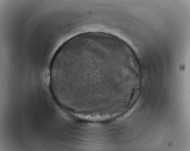 X0000102491509200808221718