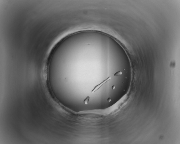 X0000102491510200808221718