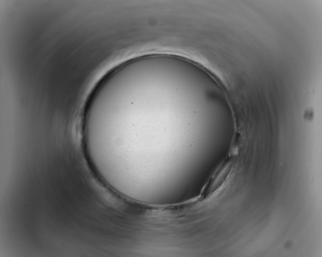 X0000102491511200808221718