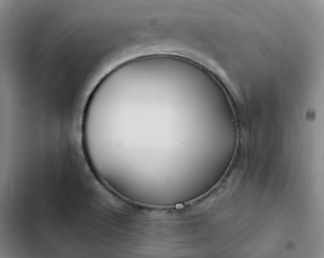 X0000102491512200808221718