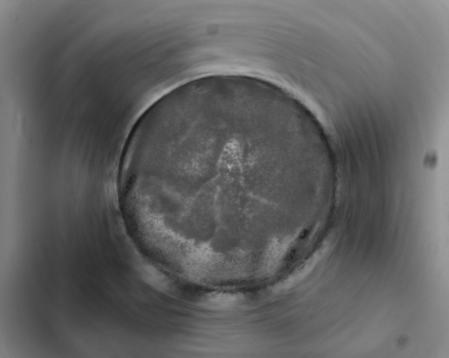 X0000102491513200808221718