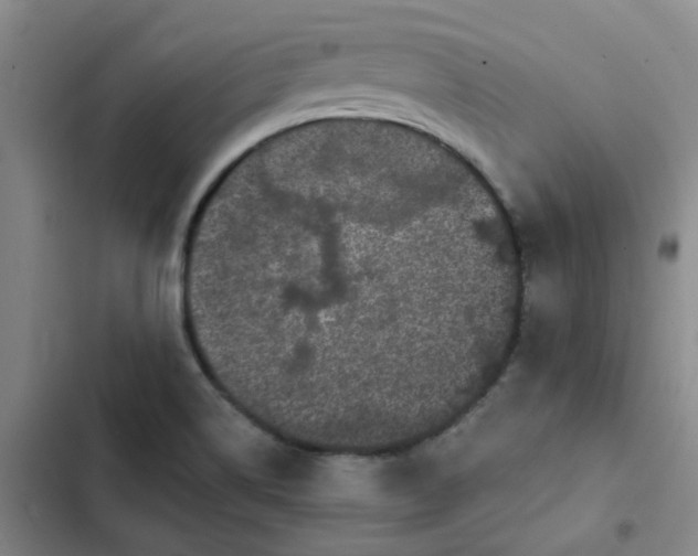 X0000102491514200808221718