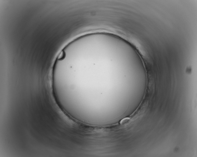 X0000102491516200808221718