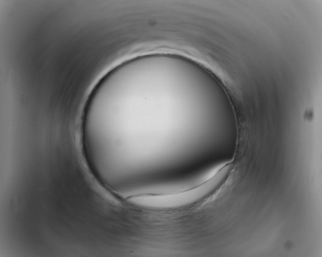 X0000102491518200808221718