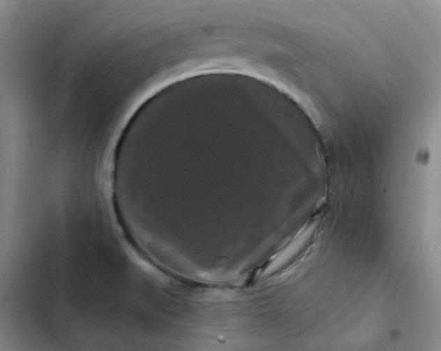 X0000102491519200808221718