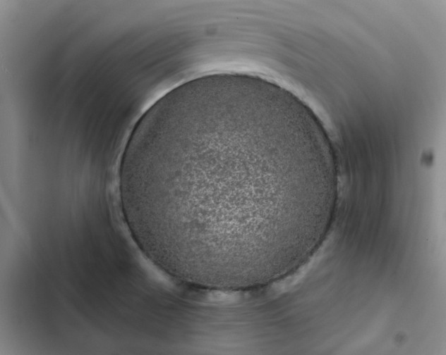 X0000102491521200808221718