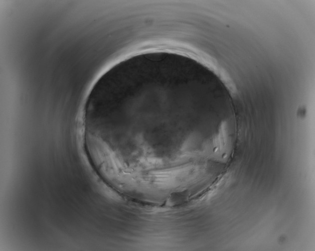 X0000102491522200808221718