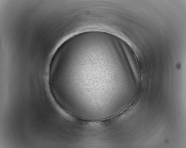 X0000102491523200808221718