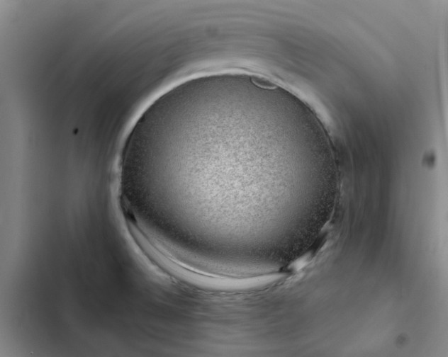 X0000102491524200808221719