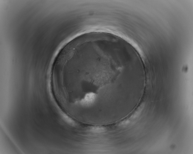 X0000102491525200808221719