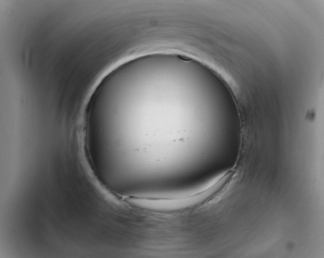 X0000102491526200808221719