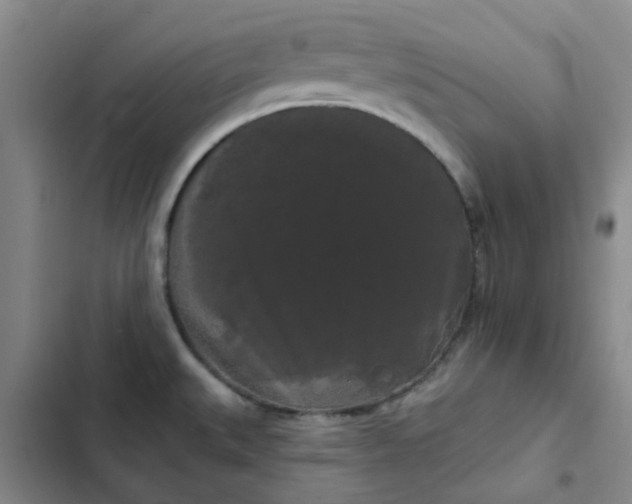 X0000102491527200808221719