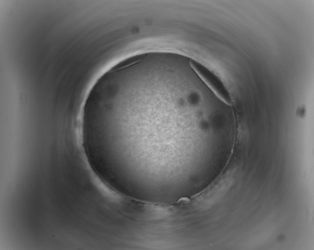 X0000102491528200808221719