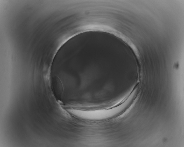 X0000102491529200808221719