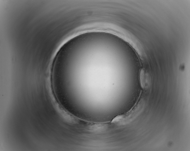 X0000102491530200808221719