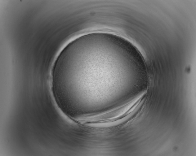 X0000102491531200808221719