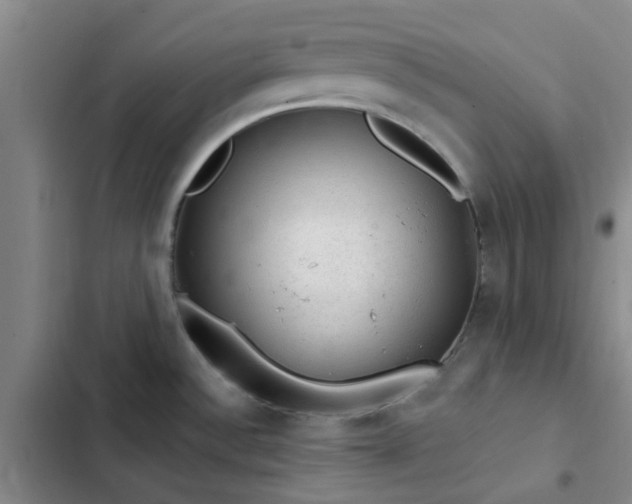 X0000102491532200808221719