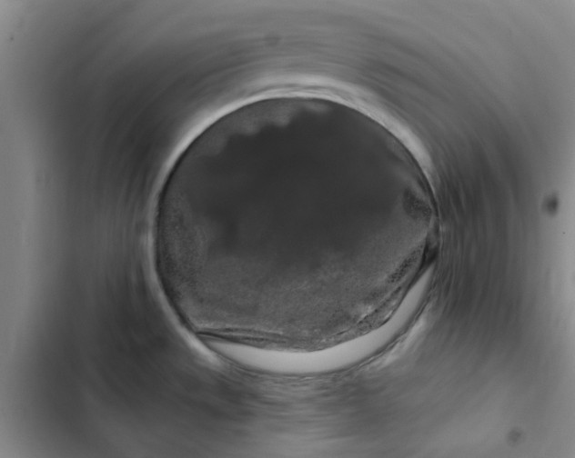 X0000102491533200808221719