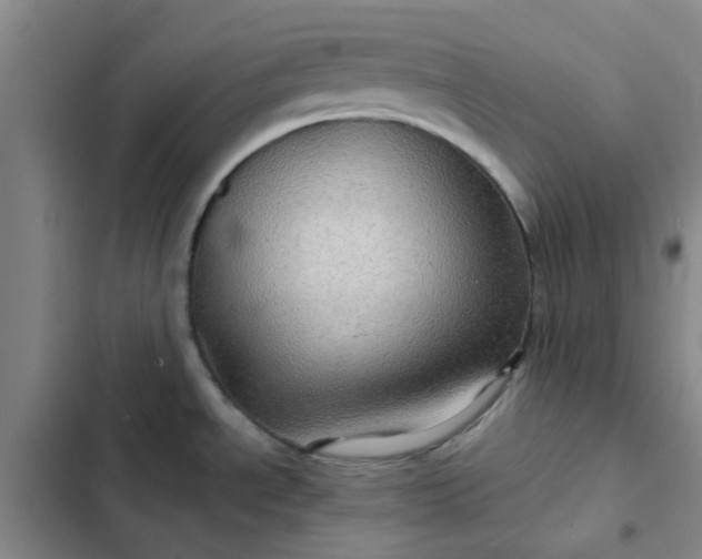 X0000102491534200808221719