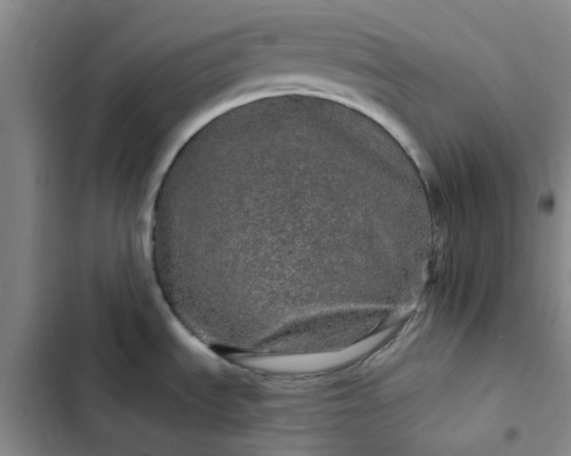 X0000102491535200808221719