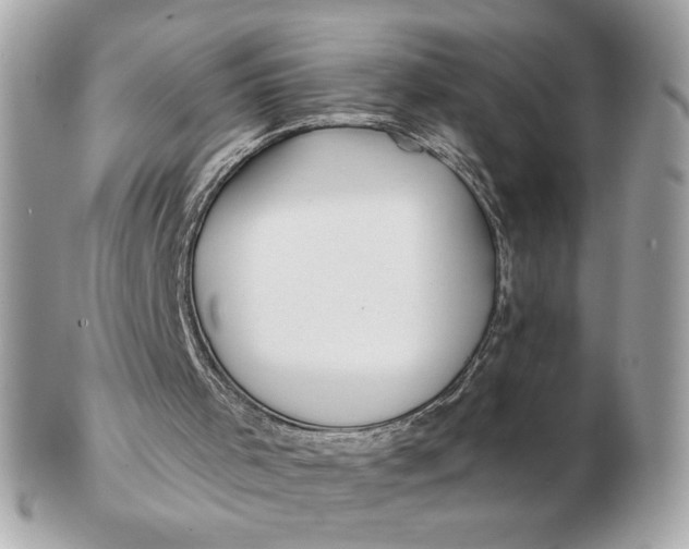 X0000102490001200808291700