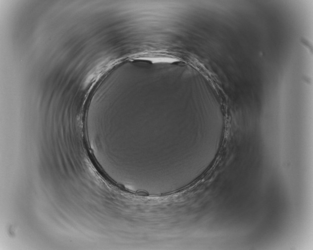 X0000102490002200808291700