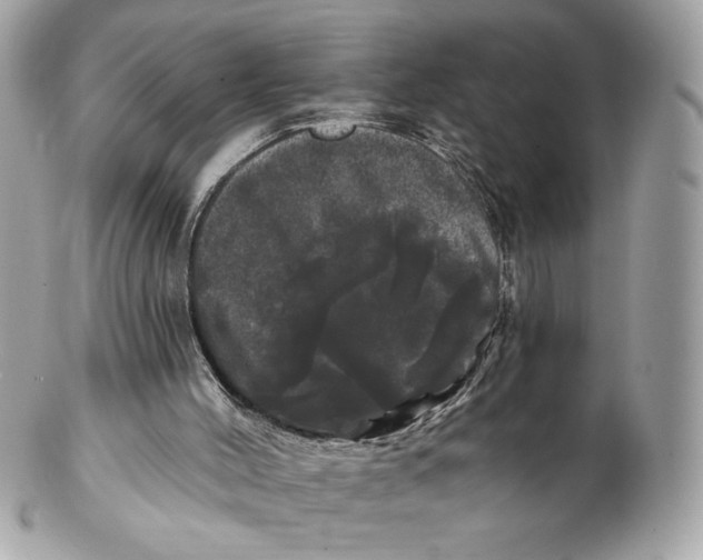 X0000102490004200808291700