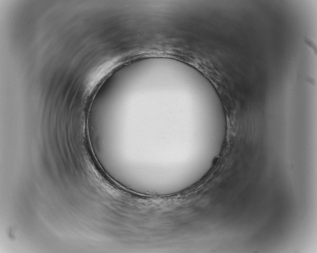 X0000102490005200808291700