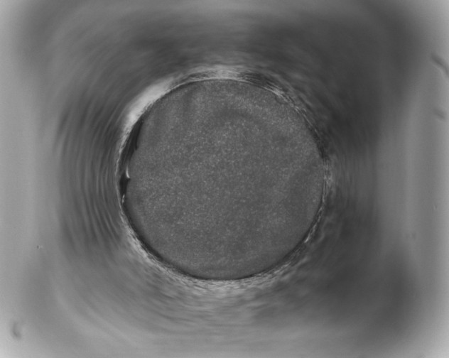 X0000102490006200808291700