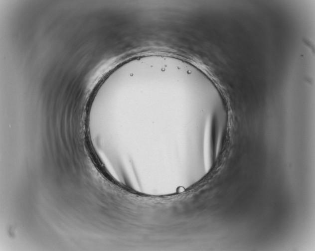 X0000102490007200808291700