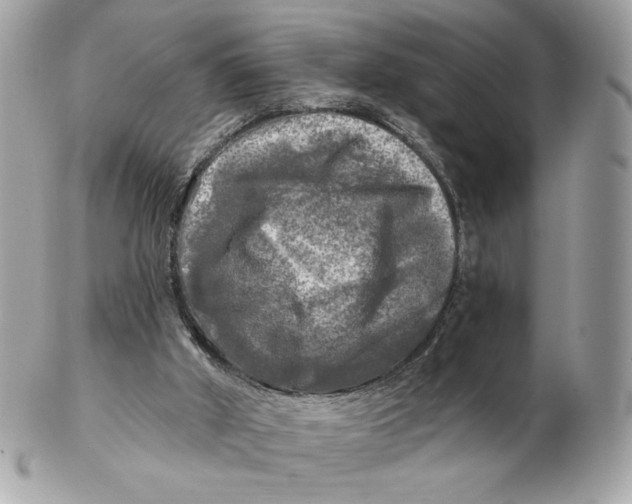 X0000102490010200808291700