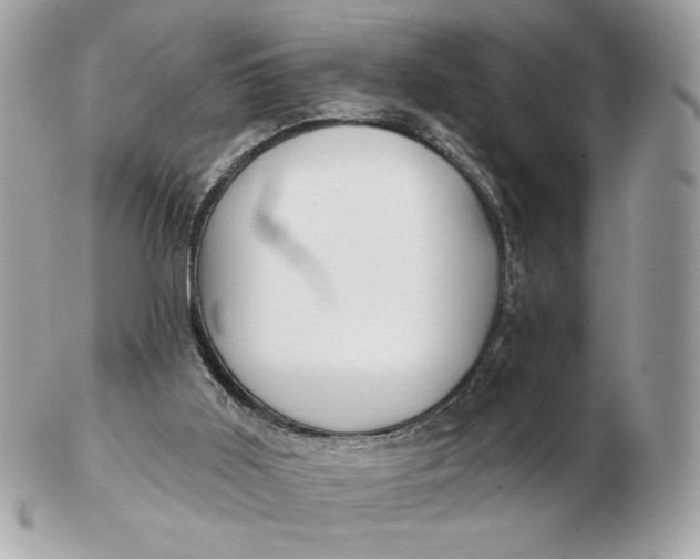 X0000102490011200808291700