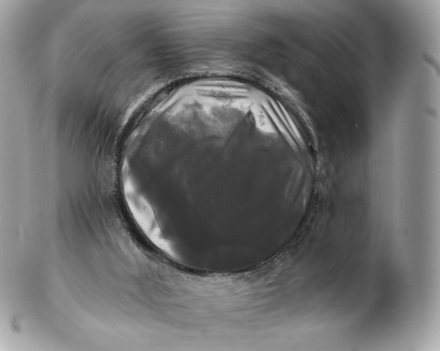 X0000102490012200808291700