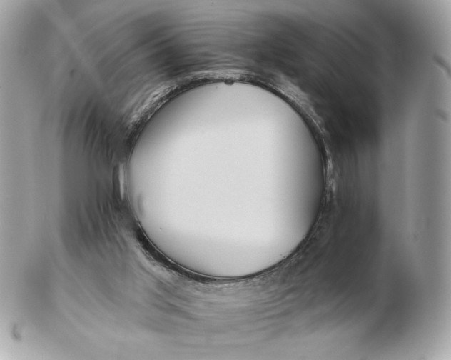 X0000102490013200808291700