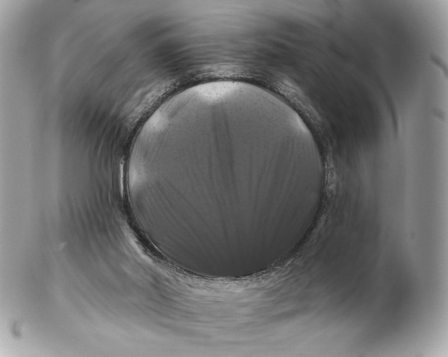 X0000102490014200808291700